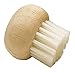 Kitchen Craft Mushroom Cleaning Brush with Rubber Wood Handle and Soft Bristles