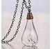 bestwishes2u Dried Dandelion Seed Glass Locket Pendant Necklace with 26