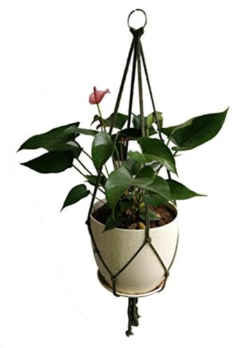 4 Legs Macrame Rope Plant Holders Hangers 36 Inch Plant Hanger Macrame Jute Decoration