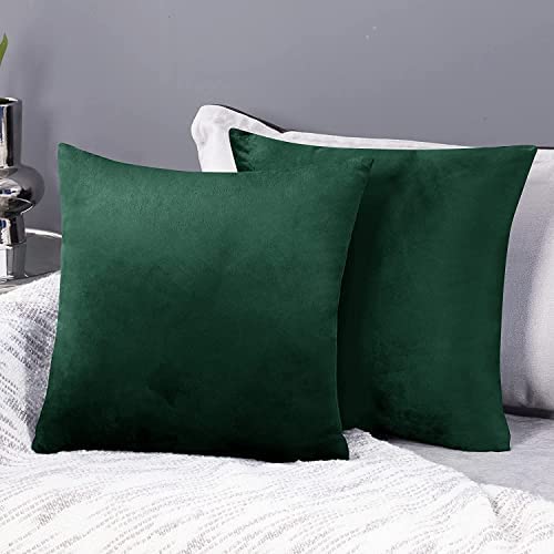 SWISSPACK 18"X 18" 4 PCS Velvet Soft Decorative Square Throw Pillow Case Cushion Covers Pillowcases for Livingroom Sofa Bedroom with Invisible Zipper 45X45 CMS TEAL