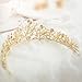 Yean Wedding Crown Bridal Tiaras with Earrings Headband for Women and Girls (Gold)