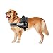 WINSEE Dog Harness, no-Pull Comfort pet Vest Harness Safety Adjustable Dog Vest Harness for Large Dogs Reflective Oxford Material Easy Control Harness Black