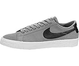 NIKE Men's SB Zoom Dunk Low Pro Skate Shoe