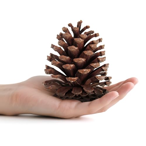 25 Pcs Large Natural Pine Cones for Crafts, 3