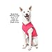 Gooby Fleece Vest Dog Sweater - Pink, Small - Warm Pullover Fleece Dog Jacket with O-Ring Leash for Small to Medium Dogs