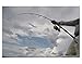 PENN® Carnage™ II Jigging Spinning
