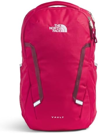Amazon.com: THE NORTH FACE Women's Jester Everyday Laptop Backpack - PFAS  Free, Cyber Berry Dark Heather, One Size : Electronics