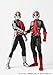 Tamashii Nations Shinkocchou Seihou Masked Rider Neo 2 