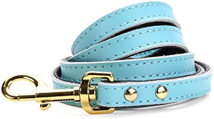 Petween Basic Classic Leather Pet Leads Leashes for Cats Puppy Small Medium Dogs