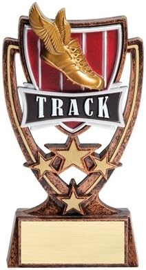 Order Fast Awards 4 Star Track Trophy