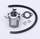 BH-Motor New Carburetor Carb for Briggs & Stratton 590399 796077