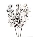 GTIDEA 3 Pack Cotton Stems 30 Balls Cotton Flowers Plant Natural Dried Floral Arrangement for Farmhouse Home Table Vase Filler Party DIY Wreath Decor (22 Inch)
