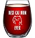 Best Cat Mom Ever Funny Wine Glass 15oz - Unique Christmas Gift Idea for Cat Lovers - Perfect Birthday Gifts for Women - Rude Sarcastic Cat Meme Cup - Evening Mug