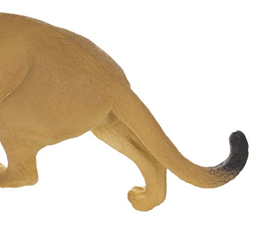 Wildlife Wonders: Puma concolor