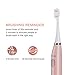 Electric Toothbrush Rechargeable Sonic Toothbrush for Adults,Smart Timer,Wireless Inductive Charging,4 Optional Cleansing Modes Travel Electric Toothbrush with 2 Replacement Brush Heads by Phniti