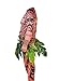Maui Tattoo T Shirt Cosplay Costumes (XXL, Brown)