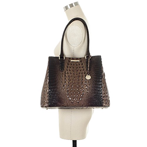 brahmin joan tote