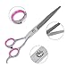Petroad Pet Grooming Scissors Set for Dogs and Cats, Stainless Steel Dog Scissors Grooming Shears Set with a Comb and a Black Pouch