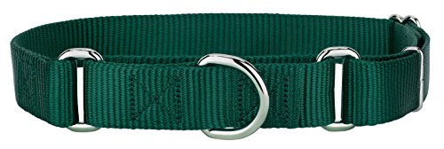 Country Brook Design Martingale Heavyduty Nylon Dog Collar - Green - Large