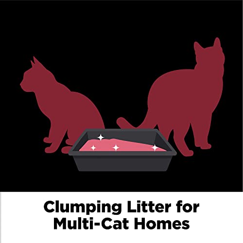 ARM & HAMMER Clump & Seal Platinum Clumping Cat Litter, MultiCat, 27