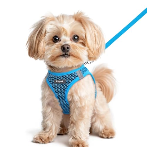 Eagloo Small Dog Harness Leash Set