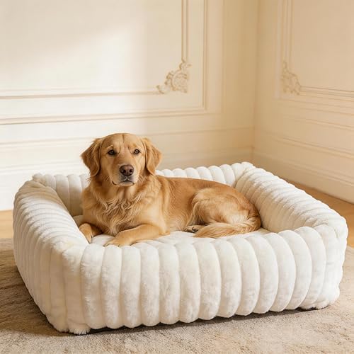 CareCooo M Rectangular Cream Wavy Texture Dog Bed - Soft Fluffy Cotton Filled Dog Bed Raised Edges Removable Cover Washable Non-Slip for Small to Medium Dogs