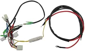 Amazon.com: Engine Wiring Harness for GY6, 150cc Engine: Automotive