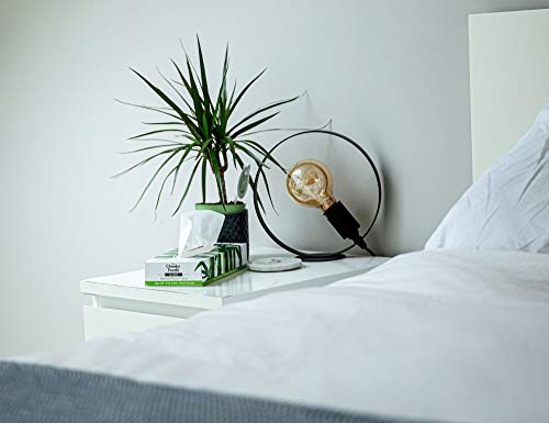 The Cheeky Panda Bamboe gezichtsweefsels Box Multipack | 12 dozen (960 weefsels) | Zachte, sterke en duurzame weefsels - Afbeelding 6