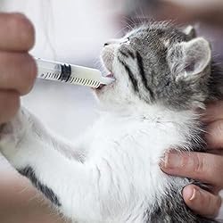 4 Pack Large Syringes for Liquid, 20ml & 60ml