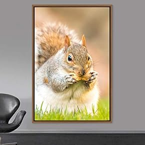 signwin Framed Canvas Wall Art Squirrel Animals Fun...