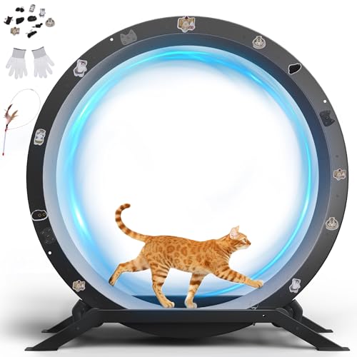 GTPLAYER Cat Exercise Wheel