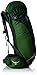 Osprey Packs Kestrel 28 Backpack