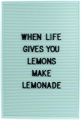 Dresz Trendy Mint Letter Board with Mounting Hooks, 12.2 x 18.1 x 0.5 inch, 267 Black Letters Numbers & Symbols, Retro…