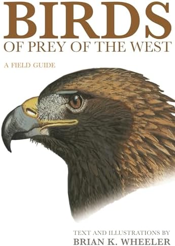 Birds of Prey of the World: Philip Burton: 9781850280859: Amazon