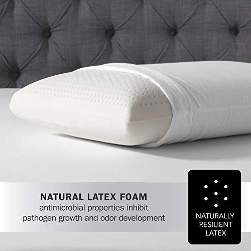 Beautyrest Latex Foam Pillow (Standard 2 Pack) Pricepulse