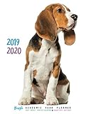 2019 2020 Beagle Academic Year Planner: Daily - Weekly - Monthly Calendars August 2019 - July 2020 by 