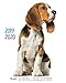 2019 2020 Beagle Academic Year Planner: Daily - Weekly - Monthly Calendars August 2019 - July 2020 by 