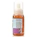 Mindful Pets Dry Dog Shampoo - Waterless Foam Mousse - Best Natural No Rinse Shampoo - Made in USA, 8oz