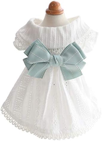 Kswl ペット服 ワンピース 犬服 ドレス 洋服 レース ドッグウェア お姫様 室内 出掛け 散歩 かわいい 猫服 着脱簡単 春夏 おしゃれ 柔らかい 人気 面白い