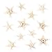 Super Z Outlet Starfish Natural Knobby Mini Beach Sea Stars for Wedding Seashell Crafts (12 Piece)