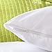 AllerEase 100% Breathable Cotton Pillow Protector for Sleeping, Queen 30