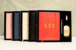 Footsteps to My Vision Gold Notebook Set – Deluxe