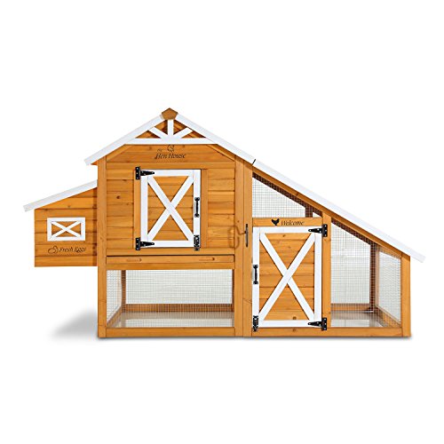Pet Squeak Hen House Chicken Coop