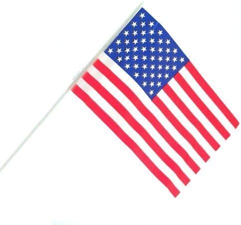US Toy - Mini Patriotic Plastic American Flags, Flag Size (6 Inches x 4 Inches), (2-Pack of 12)