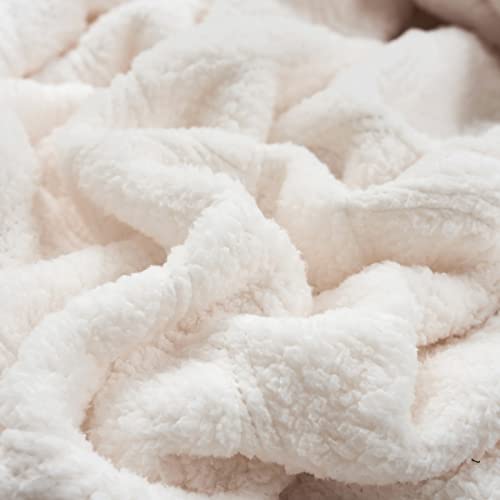 Cozy Bliss Sherpa Throw Blanket 50