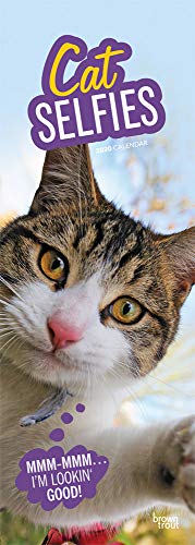 Cat Selfies 2020 6.75 x 16.5 Inch Monthly Slimline Wall Calendar, Pet Humor Kitten by