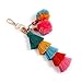 Anove Colorful key rings Tassel Decorations for Handbags Attractive Handmade Personalized Bag Charm Key chain Women Pom Pom (Colorful key rings/tassel decorations-B1)