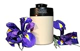 Aroma-Express Essential Oil Nebulizing Diffuser with Bonus Essential Oil/Perfume Roll-on Bottle (Beige)