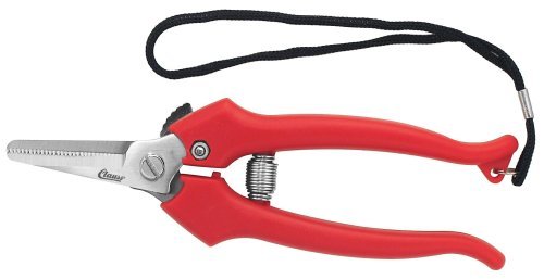 Clauss 33403 6" Floral Cutter with Lanyard