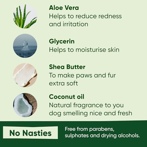 Beco Dog Wipes - 1 Pack of 80, Coconut Scented, For Paws, Body and Bum, Plant-Based Grooming Wipes
